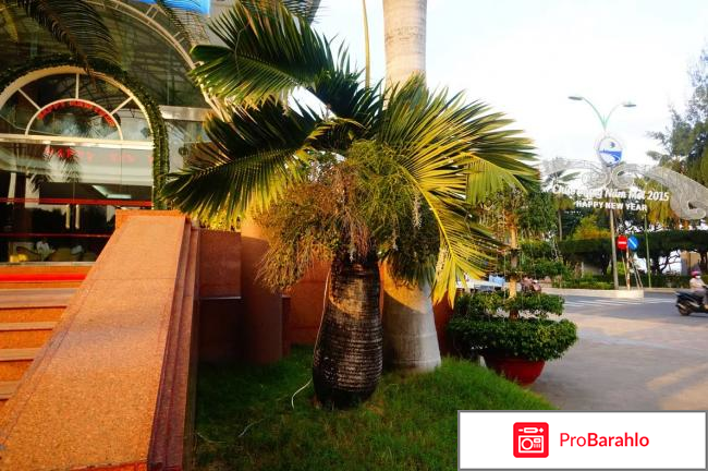 Вьетнам нячанг экскурсии отзывы туристов 2017 отрицательные отзывы