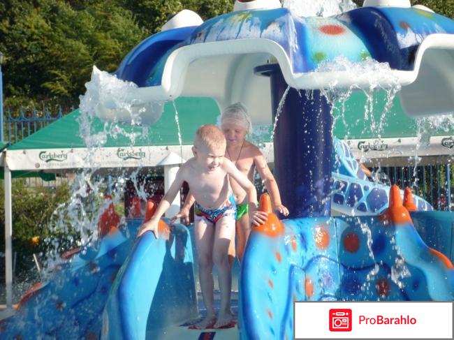 Arc отрицательные отзывы