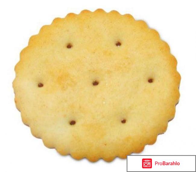 Кондитерская фабрика славянка фото