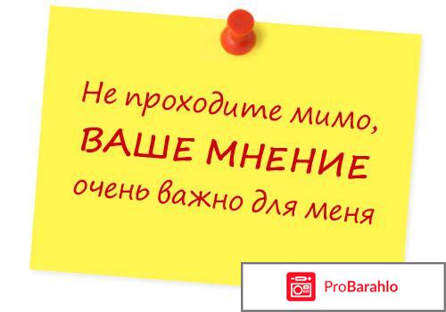 Сколько можно заработать на отзывах? 