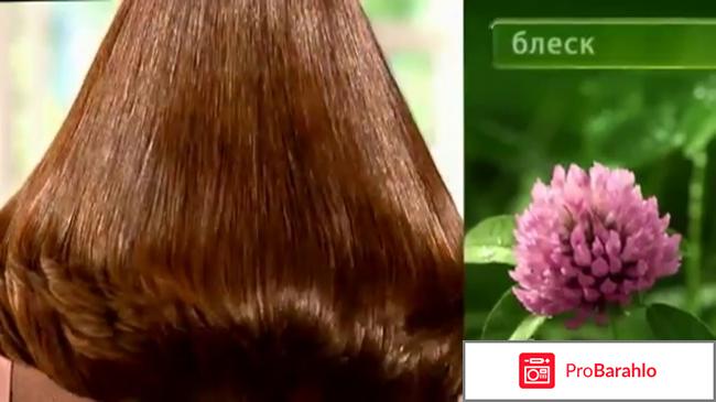 Шампунь чистая линия клевер отзывы обман