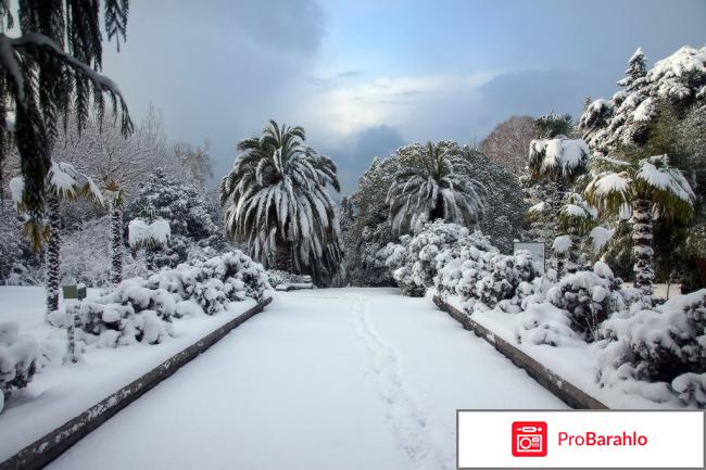 Хоста отзывы отдыхающих 2018 форум обман