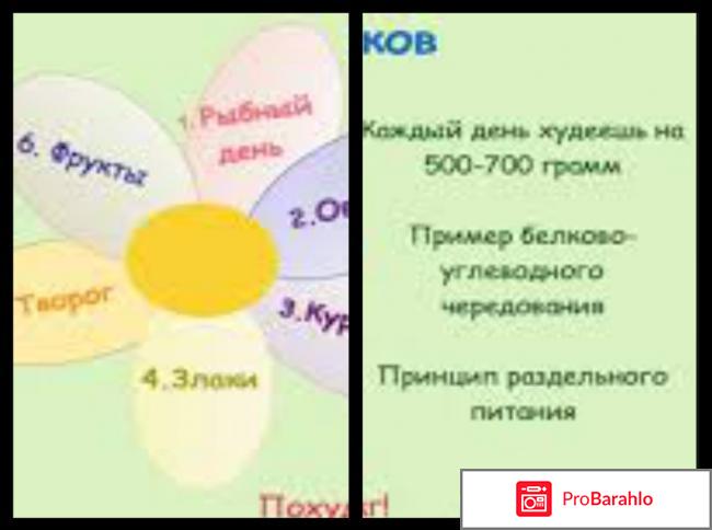 Диета шесть лепестков отзывы 