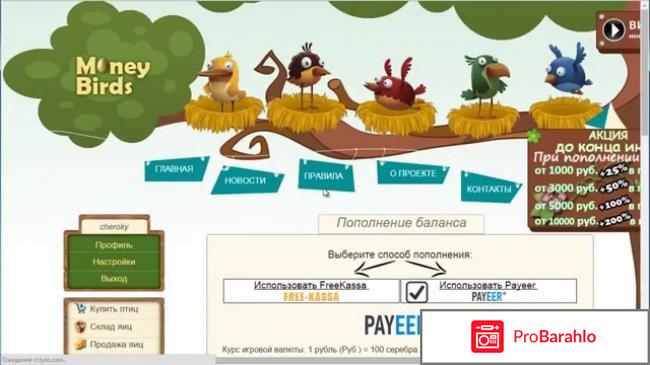 Зарабатывай на своих яйцах - money-birds.com 