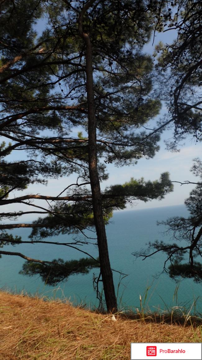 Военный Дом Отдыха ВДО Бетта Хутор Бетта отрицательные отзывы