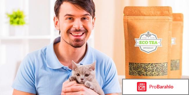 Eco Tea от паразитов и гипертонии: отзывы, цена - развод или нет отрицательные отзывы