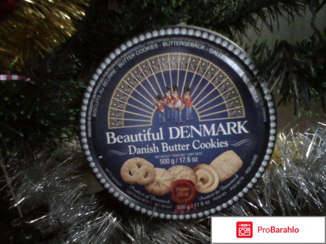 Beautiful DENMARK Danish Butter Cookies 