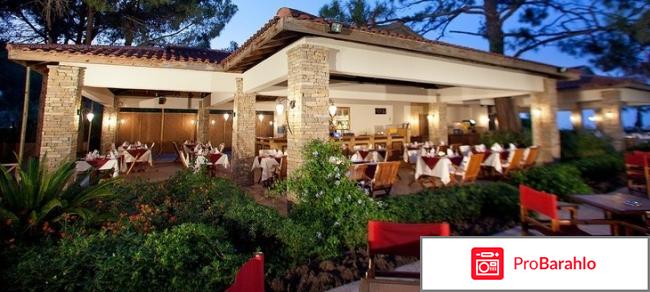 Champion holiday village реальные отзывы