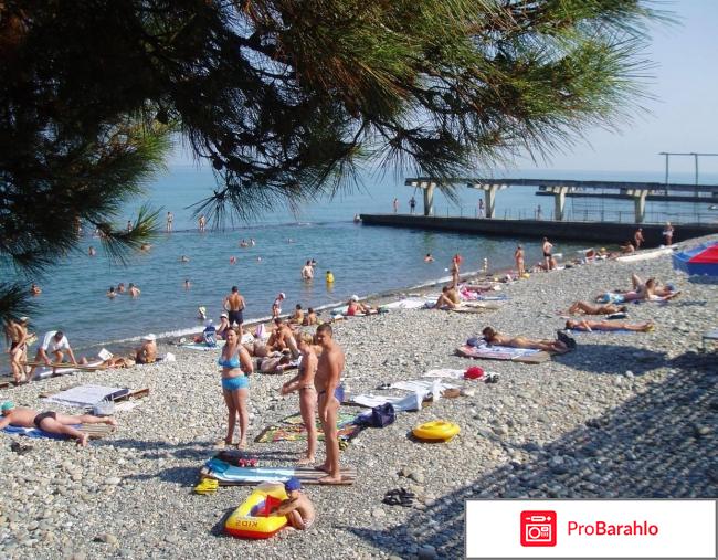 Хоста отзывы отдыхающих 2018 форум фото