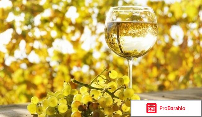 Вино nikala белое полусладкое отзывы реальные отзывы