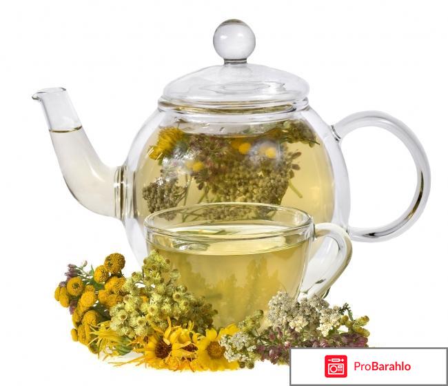 Монастырский сбор отца георгия при цистите отзывы отрицательные отзывы