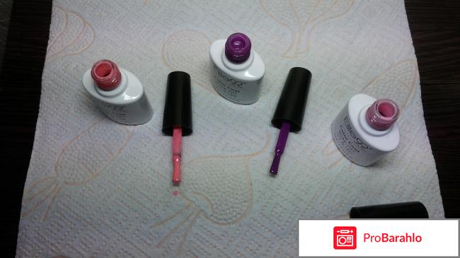 Elite 99 отрицательные отзывы