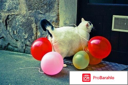 Оригинальный подарок на день матери отзывы владельцев