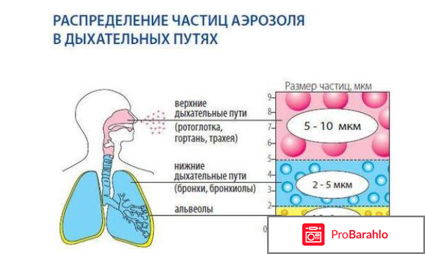 Ультразвуковой ингалятор Муссон-2-01 отрицательные отзывы