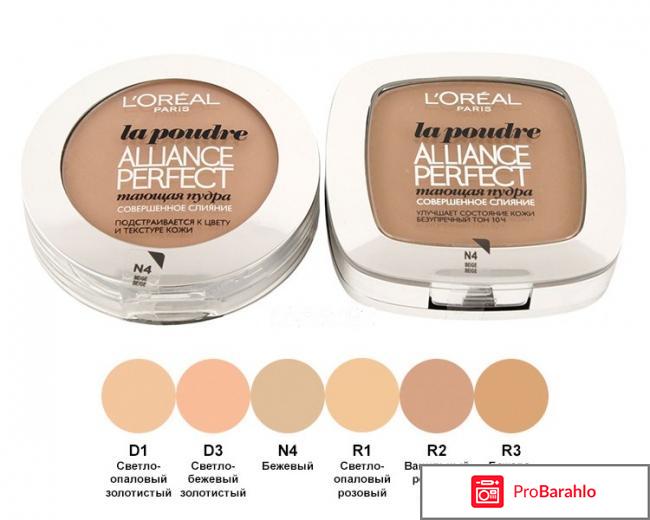 Пудра Alliance Perfect 