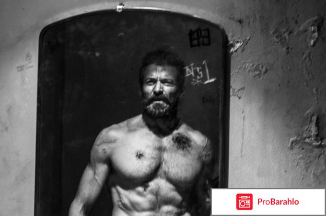 Логан отзывы 