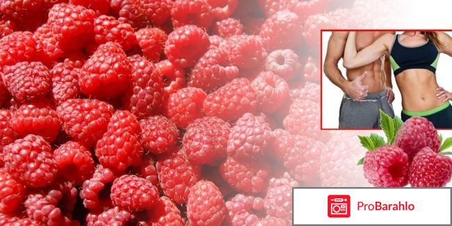 Raspberry ketone отрицательные отзывы