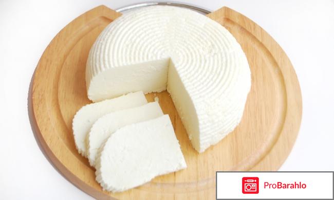 Сыр мягкий отрицательные отзывы