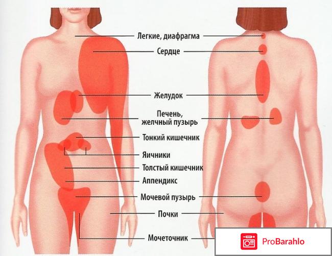 Пластырь детоксикационный реальные отзывы