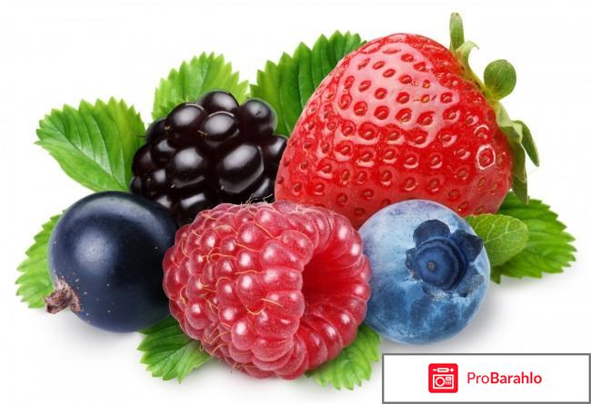 Slim Pills отрицательные отзывы