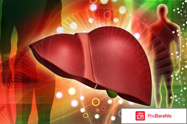 Неалкогольная жировая болезнь – это накопление обман