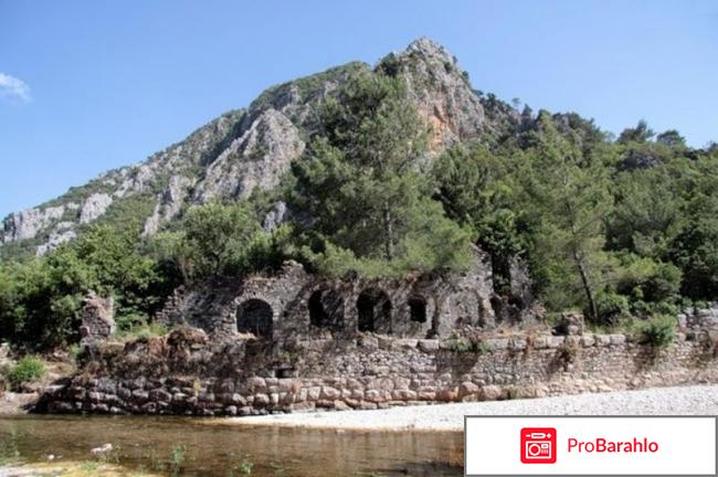 Комплекс самоздрав 