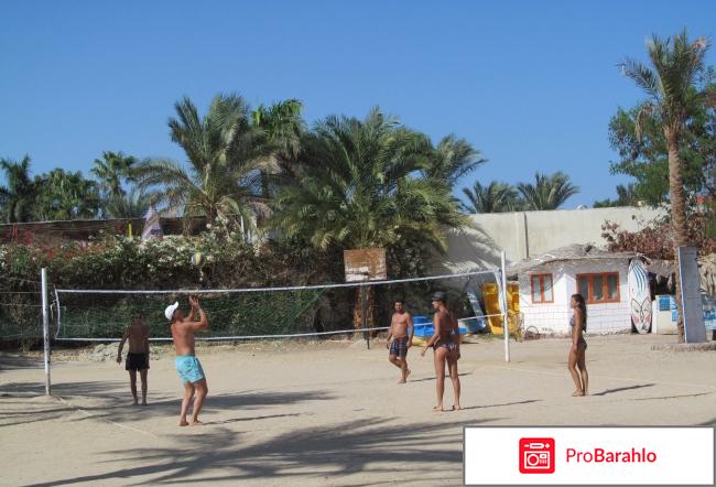 Султан бич 4 хургада реальные отзывы