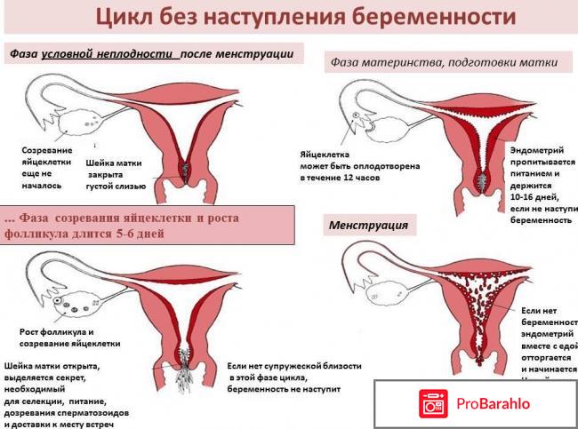 Признаки беременности после месячных 