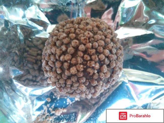 Бамбино тирамису отрицательные отзывы