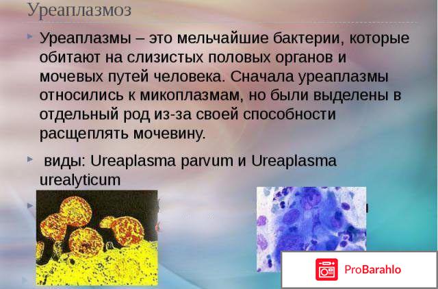 Уреаплазма у женщин симптомы и лечение отзывы 