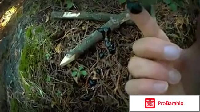 Дикий лес фильм отзывы реальные отзывы