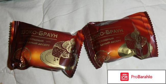 Шоколадный десерт Сладуница 