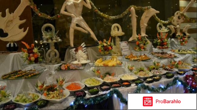 Фестиваль ривьера обман