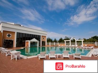 Самшитовая роща пицунда 