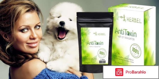 Herbel AntiToxin от паразитов: цена, отзывы, купить обман