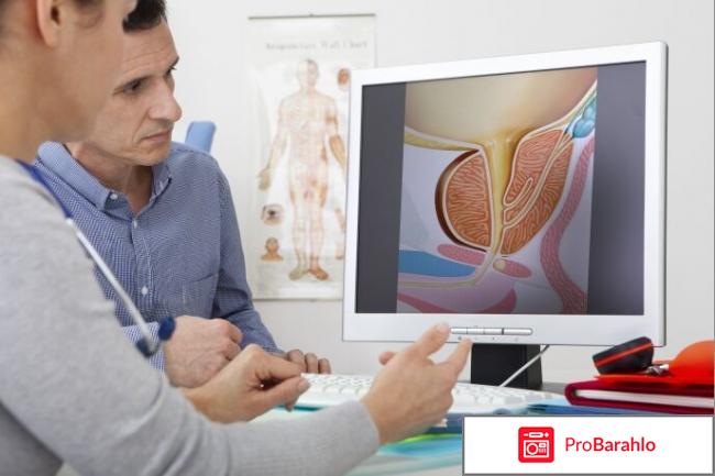 Сементал инструкция применения цена отзывы отрицательные отзывы