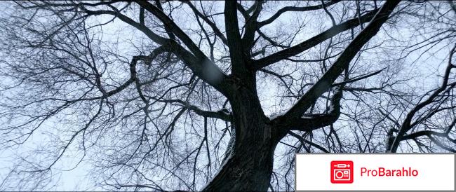 Отзывы фильм нелюбовь отрицательные отзывы