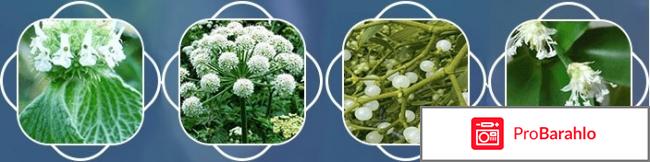 Neosense реальные отзывы