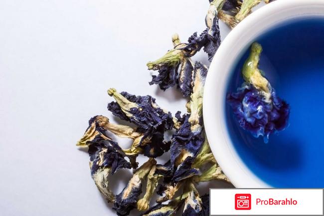 Реальные отзывы о пурпурном чае Чанг-Шу для похудения 