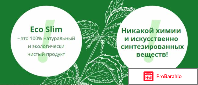 Eco slim состав 