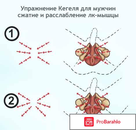 Упражнения кегеля для мужчин отзывы обман