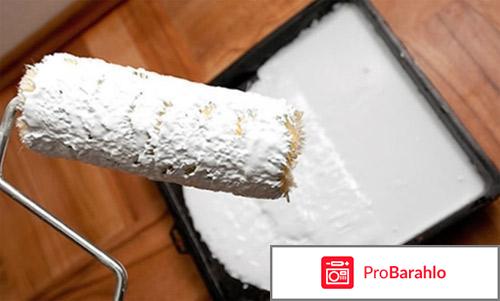 Краска водно дисперсионная 