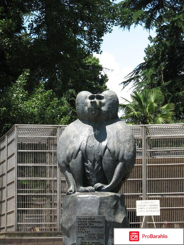 Сухуми фото