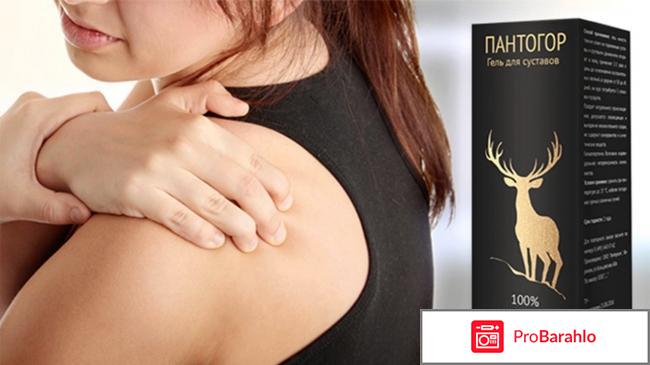 Пантогор купить 