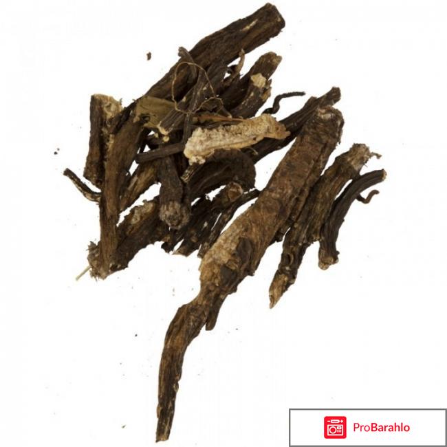 Чка доянь купить в москве отзывы владельцев