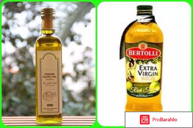 Как выбрать оливковое масло? 