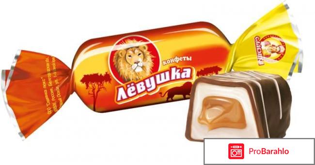 Кондитерская фабрика славянка фото