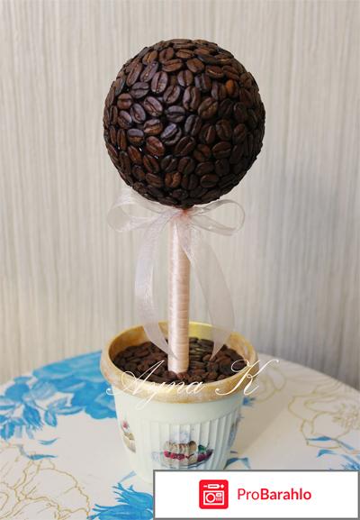 Топиарий фото