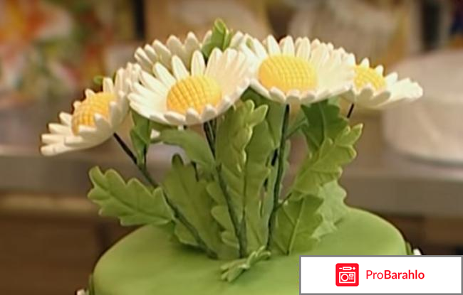 Александр селезнев торты реальные отзывы