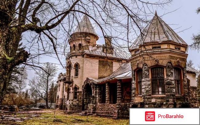 Гатчина санкт-петербург реальные отзывы